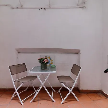 Plebiscito By Ele Naples